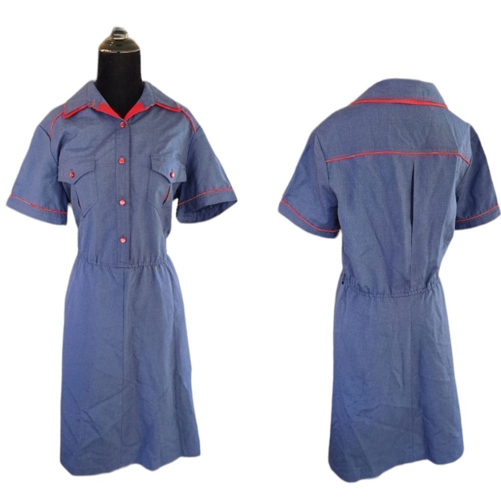 Vintage red and blue buttondown dress